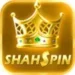 Shah Spin Game